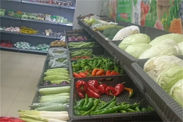 菜城生鲜 连接田间与餐桌的鲜美生活