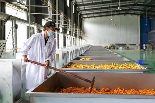 贵州毕节 优质农产品扬帆“出海” 生鲜直送海外餐桌